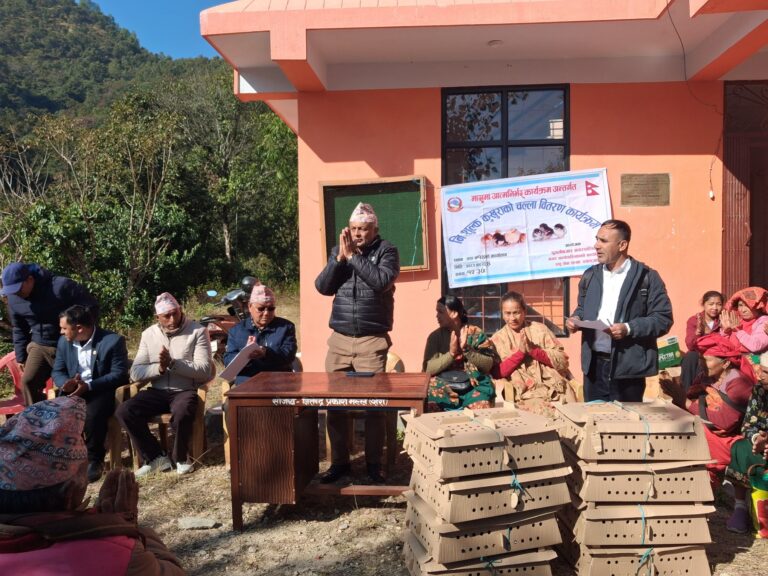 पुतलीबजारका वडाहरुमा चल्ला र दाना बितरण जारी